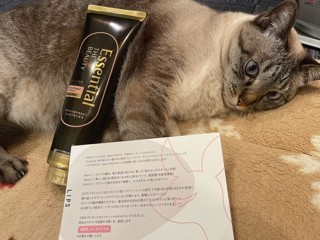 THE BEAUTY 髪のキメ美容プレミアムトリートメント＜モイストリペアプレミアム＞/エッセンシャル/洗い流すヘアトリートメントを使ったクチコミ（1枚目）