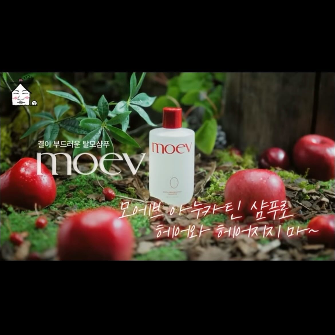 モエブ アヌカチン シャンプー/トリートメント/moev/市販シャンプーを使ったクチコミ(3枚目)