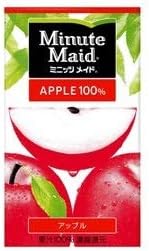コカ・コーラ ミニッツメイド  アップル100