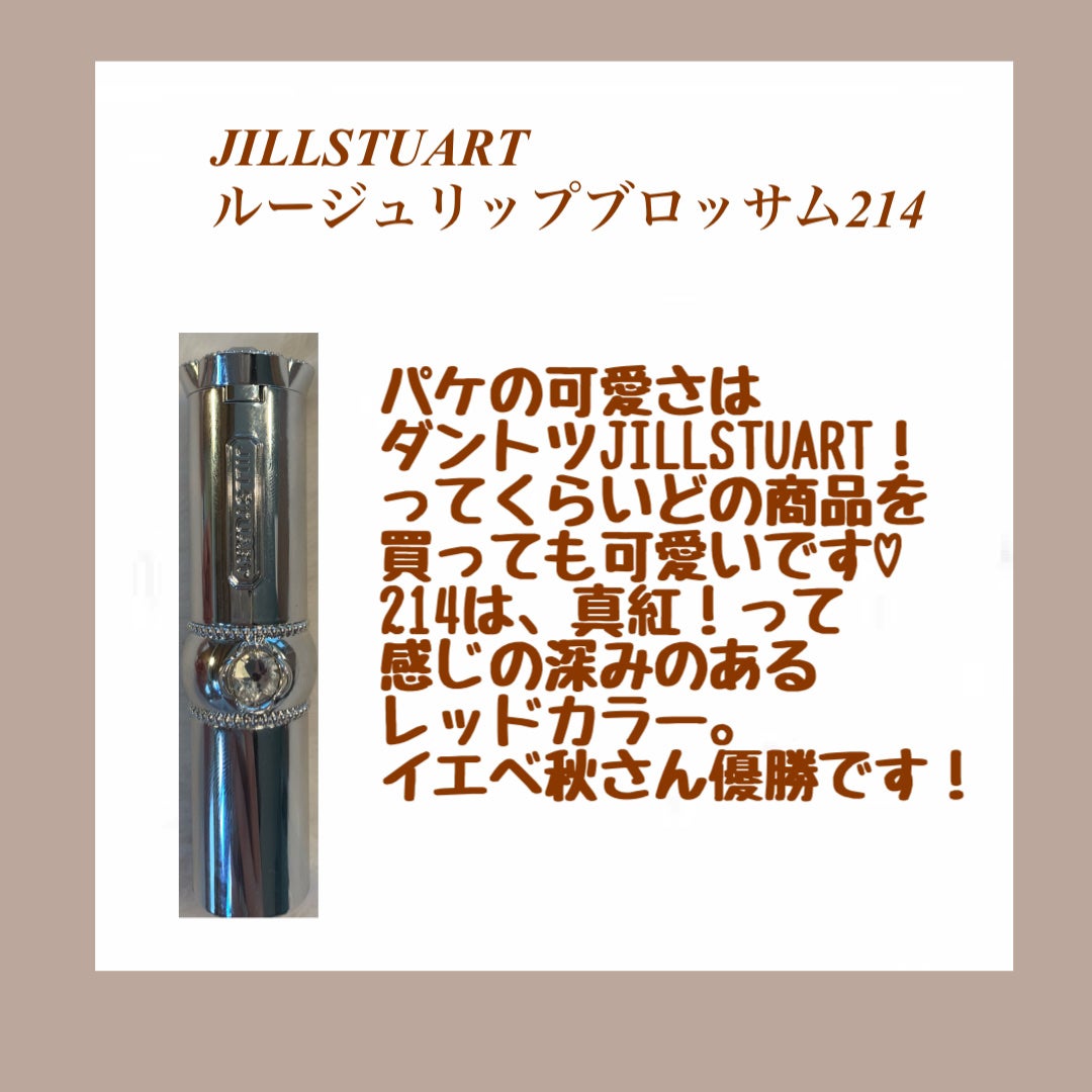 エクスプローラ12色 動物アイシャドウパレット/PERFECT DIARY/アイシャドウパレットを使ったクチコミ(2枚目)