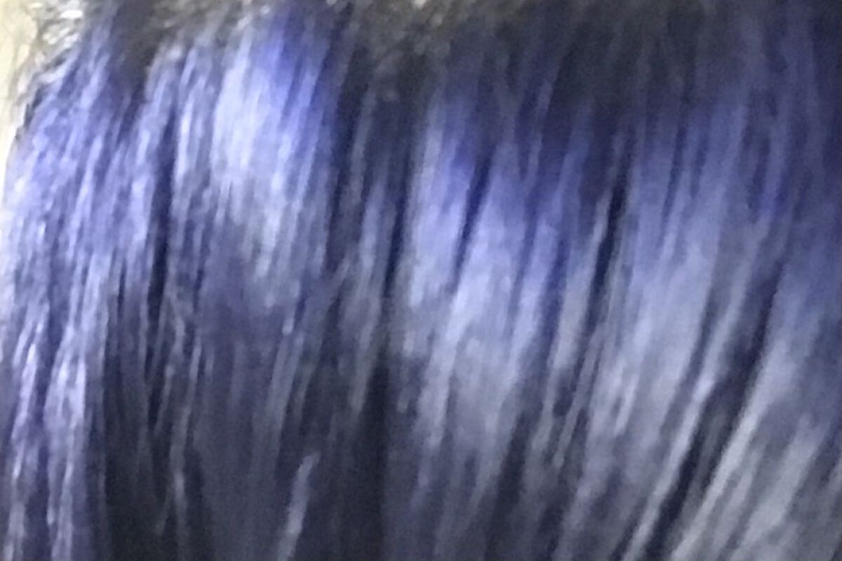 メイクアップカラー/ビューティーン/ヘアカラーを使ったクチコミ（1枚目）