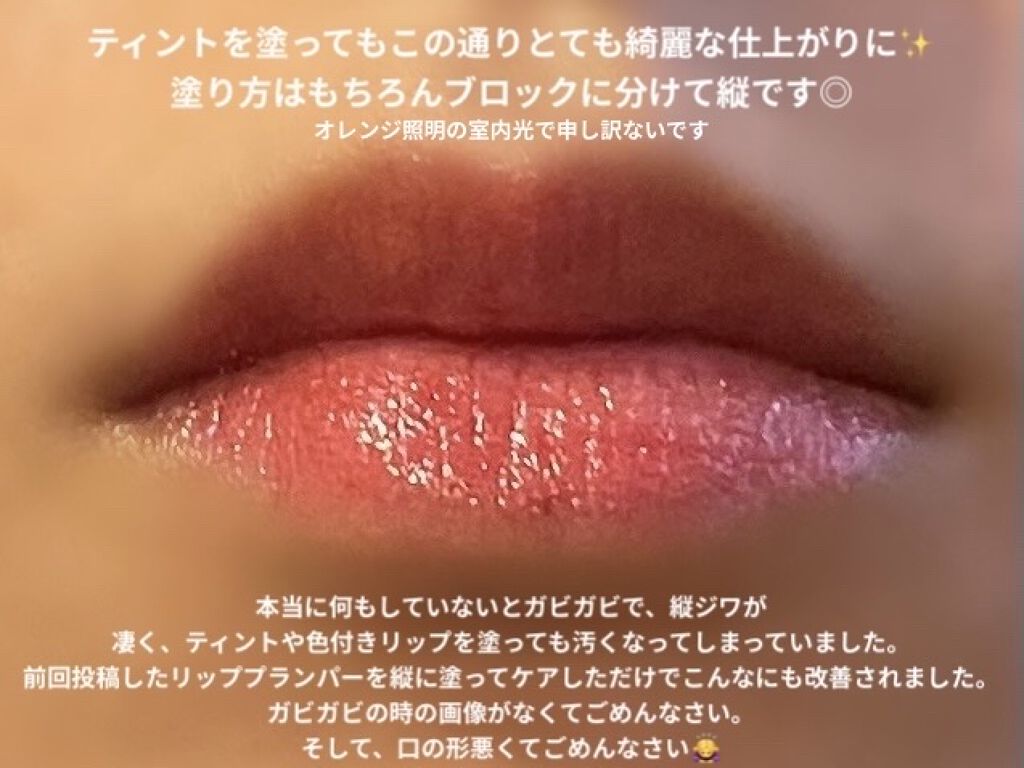 エテュセ リップエディション（プランパー）リッチスタイル/ヘルシースタイル/ettusais/リップケアを使ったクチコミ（3枚目）