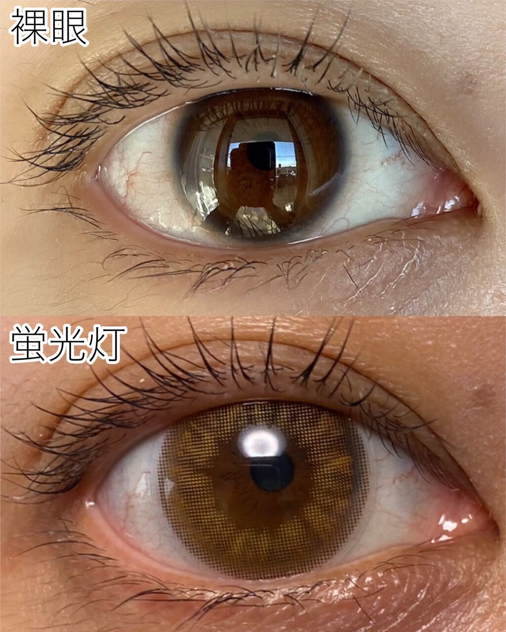 カラーマジョリティー/カラーマジョリティー/カラーコンタクトレンズを使ったクチコミ(2枚目)