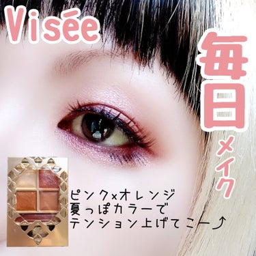 パノラマデザイン アイパレット/Visée/アイシャドウパレットを使ったクチコミ（1枚目）