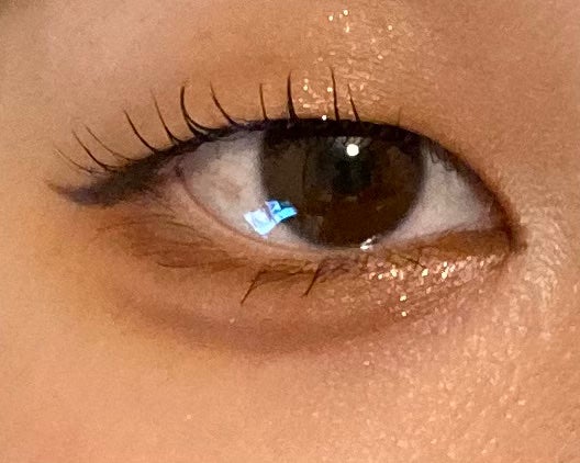 シルキースフレアイズ(マットタイプ)/キャンメイク/アイシャドウパレットを使ったクチコミ(4枚目)