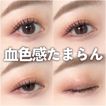 ミネラルクラッシィシャドー/エトヴォス/アイシャドウパレットを使ったクチコミ(5枚目)