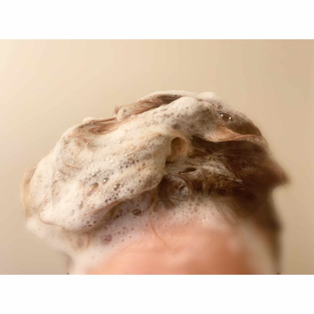 アビスタ エイジングケアシャンプー／コンディショナー コンディショナー 300ml/AVISTA/市販シャンプーを使ったクチコミ（3枚目）