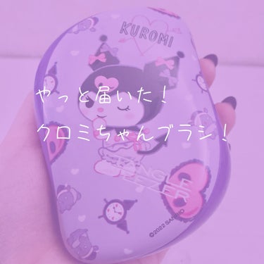 コンパクトスタイラー/TANGLE TEEZER/ヘアブラシを使ったクチコミ（1枚目）