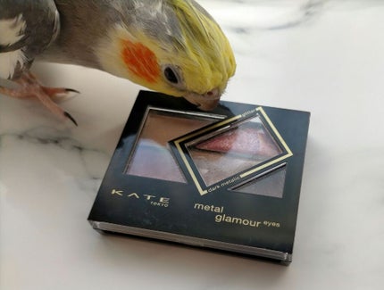 メタルグラマーアイズ/KATE/アイシャドウパレットを使ったクチコミ(1枚目)