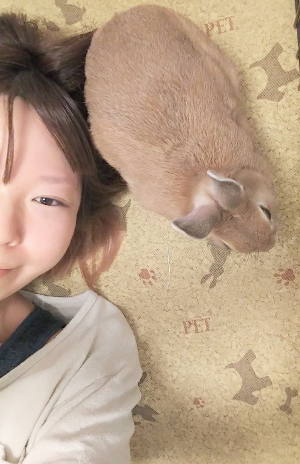 Sigil Inspired Magic Eyeshadows/SIGIL inspired/単色アイシャドウを使ったクチコミ(1枚目)