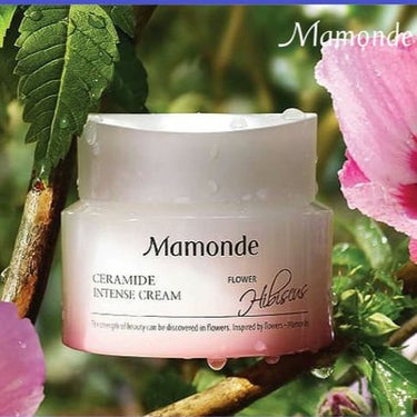 Moisture Ceramide Intense cream（モイスチャーセラミドインテンスクリーム）/Mamonde/フェイスクリームを使ったクチコミ（1枚目）