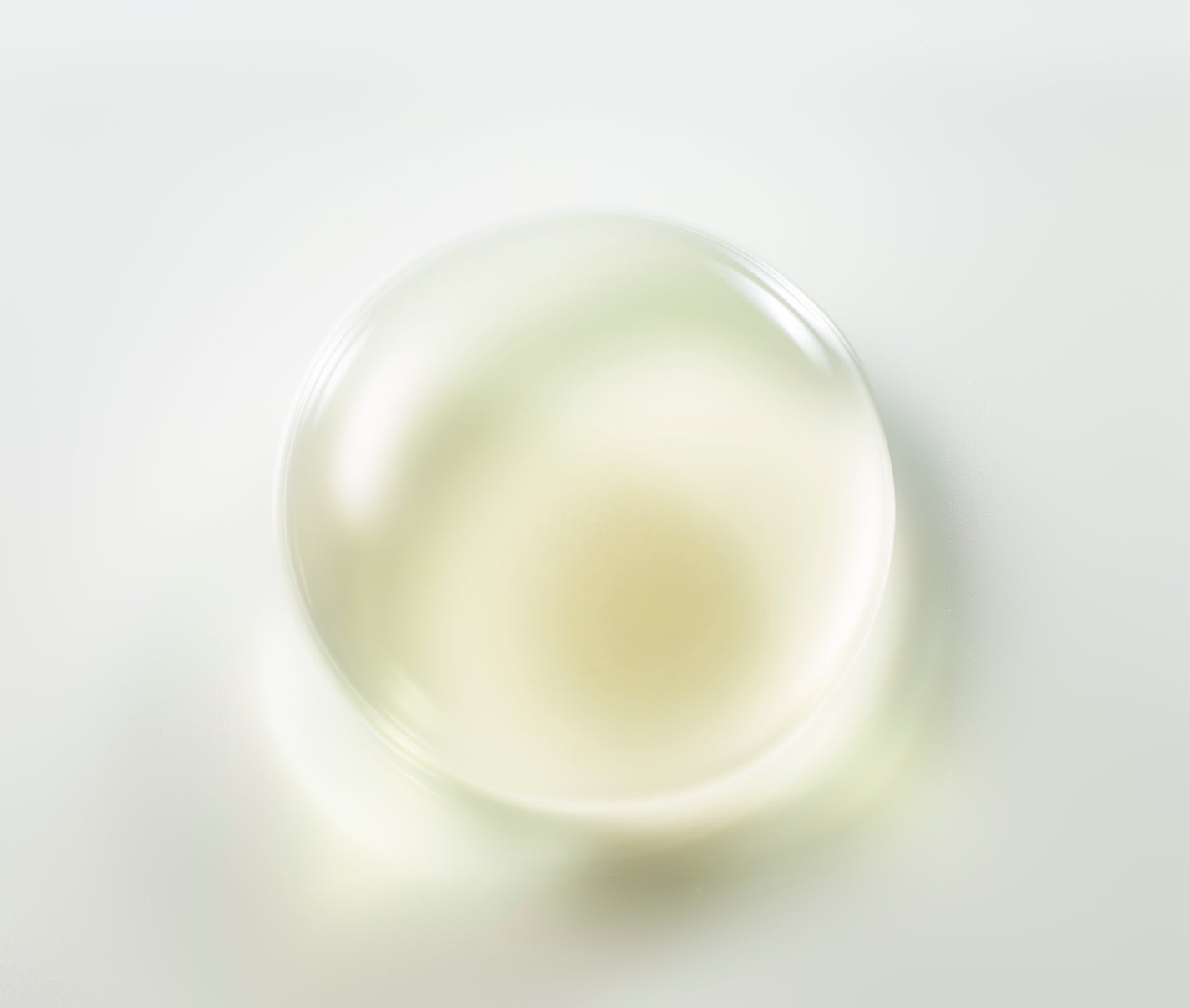 チャントアチャーム モイスト ブースターオイル f(フォレスト) chant a charm