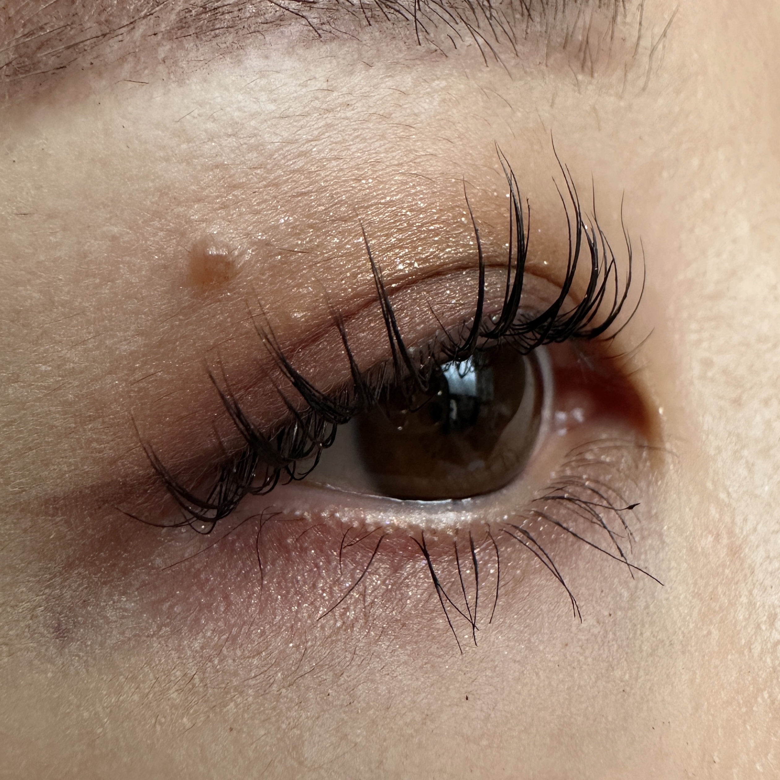 トーン タッチ アイズ/SUQQU/単色アイシャドウを使ったクチコミ（2枚目）