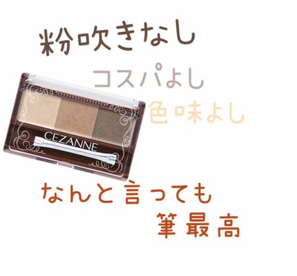 ノーズ&アイブロウパウダー/CEZANNE/パウダーアイブロウを使ったクチコミ(1枚目)