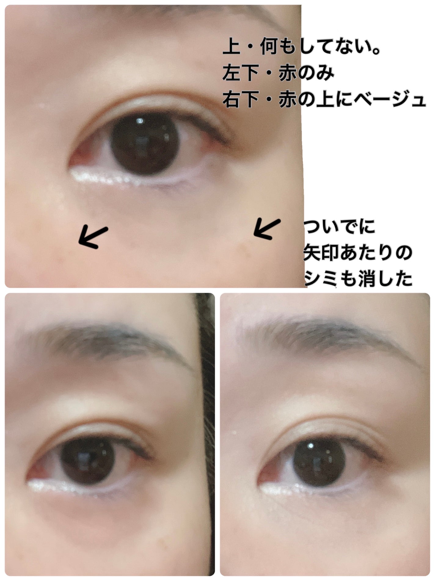 リシェ レッドトリック アイコンシーラー/Visée/パレットコンシーラー by ぱんしー