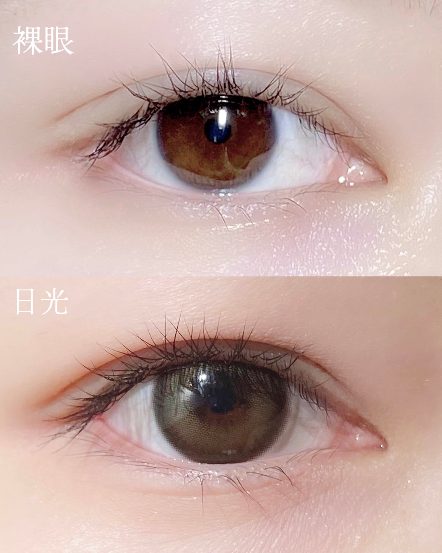 ミューテッド/OLOLA/カラーコンタクトレンズを使ったクチコミ(3枚目)