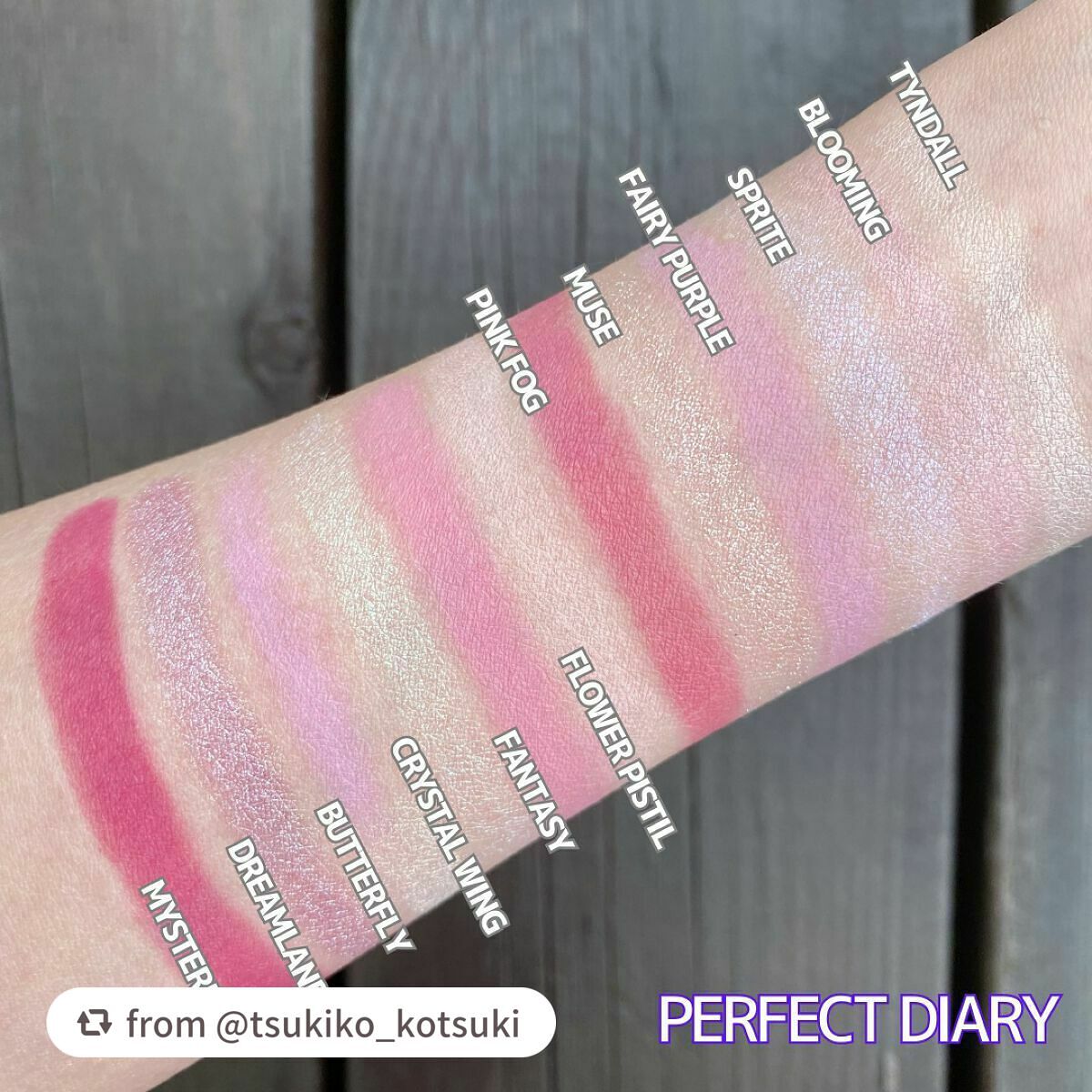 エクスプローラ12色 動物アイシャドウパレット/PERFECT DIARY/アイシャドウパレットを使ったクチコミ(4枚目)