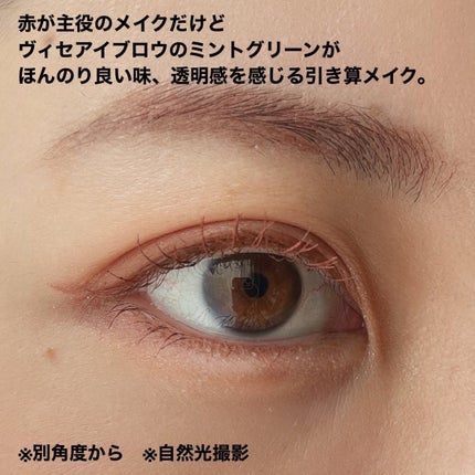 ヴィセ リシェ アイブロウパウダー/Visée/パウダーアイブロウを使ったクチコミ(4枚目)