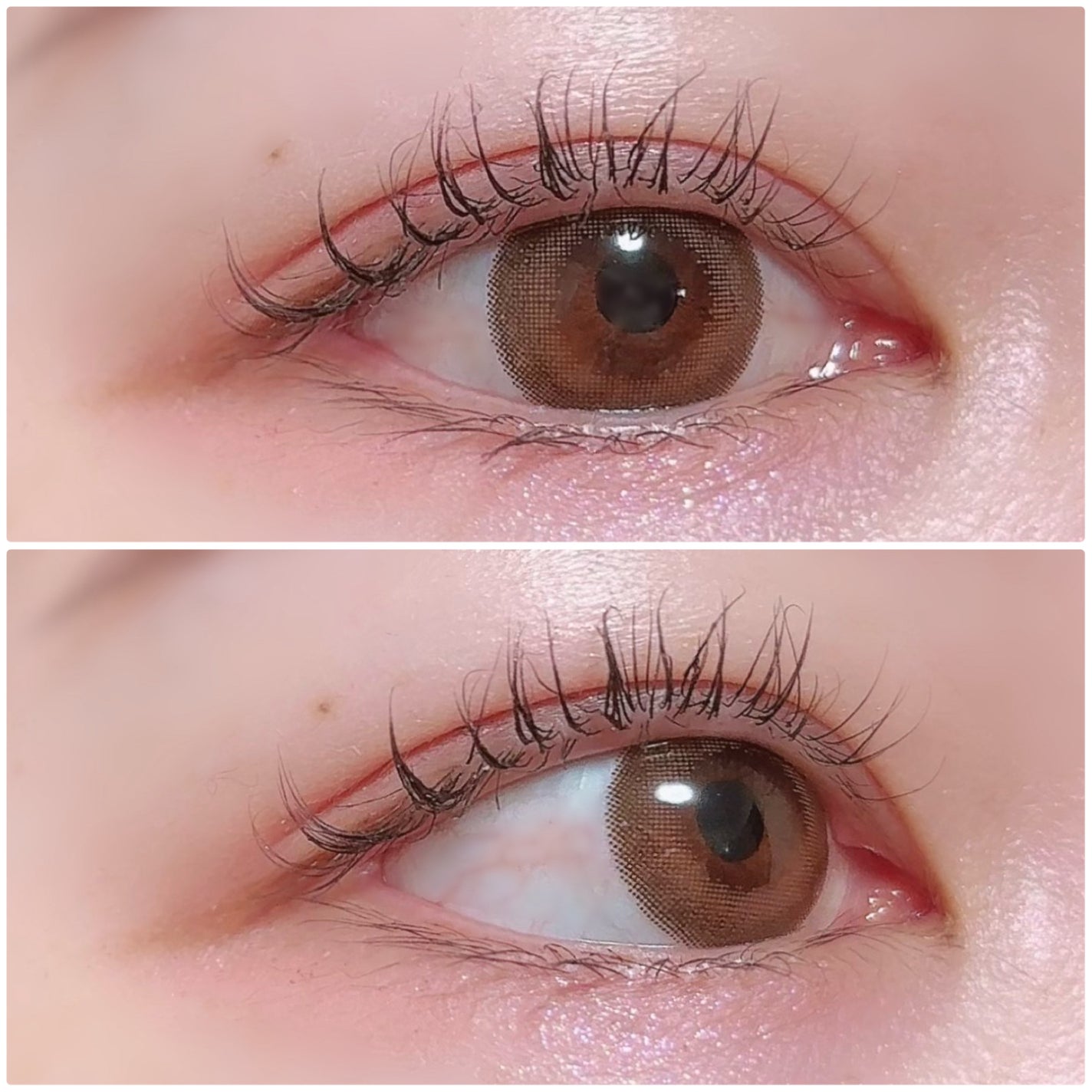 feliamo 1day/feliamo/ワンデー(1DAY)カラコンを使ったクチコミ(3枚目)