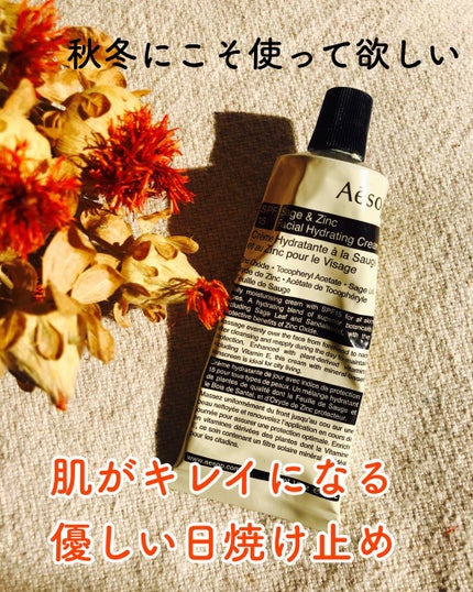 フェイシャルハイドレーティングクリームSPF15/Aesop/化粧下地を使ったクチコミ(1枚目)