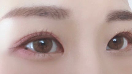 スイ ブラック アイカラー/ANNA SUI/アイシャドウパレットを使ったクチコミ(4枚目)