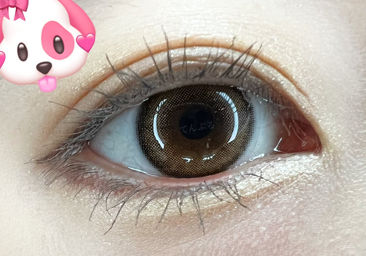 ドラマティックスタイリングアイズ/マキアージュ/アイシャドウパレットを使ったクチコミ(2枚目)