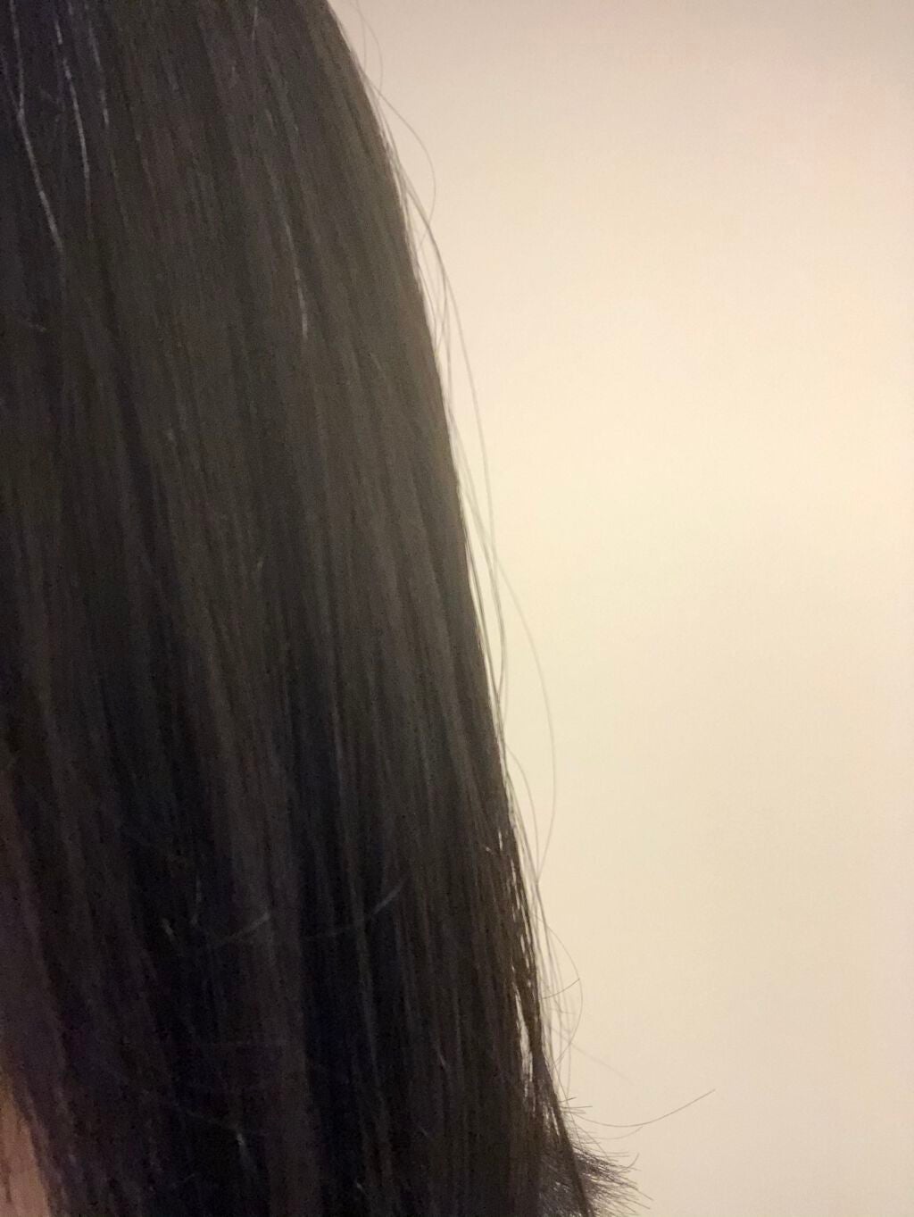 コンパクトスタイラー/TANGLE TEEZER/ヘアブラシを使ったクチコミ(1枚目)