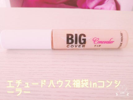 ビッグカバーチップコンシーラー/ETUDE/リキッドコンシーラーを使ったクチコミ(1枚目)
