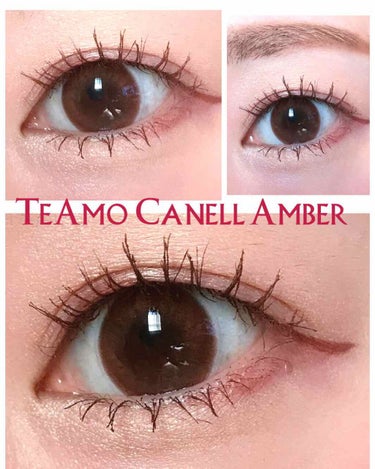 #ブラウンしばり

＊カラコン　TeAmo Canell Amber
＊マスカラ　ヒロインメイク
＊アイシャドウ　WHoMEE クリーミーシャドウ


☆カラコンスペック
DIA14.5、BC8.8
今