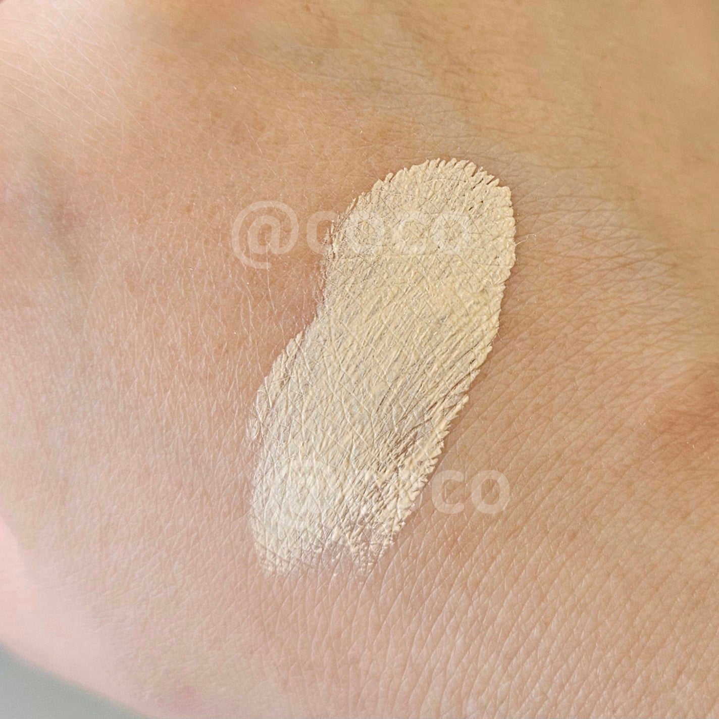 プロテーラービーベルベットカバークッション/espoir/クッションファンデーションを使ったクチコミ(2枚目)