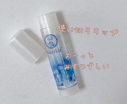 ウォーターリップ ミントメントール/メンソレータム/リップクリームを使ったクチコミ(1枚目)