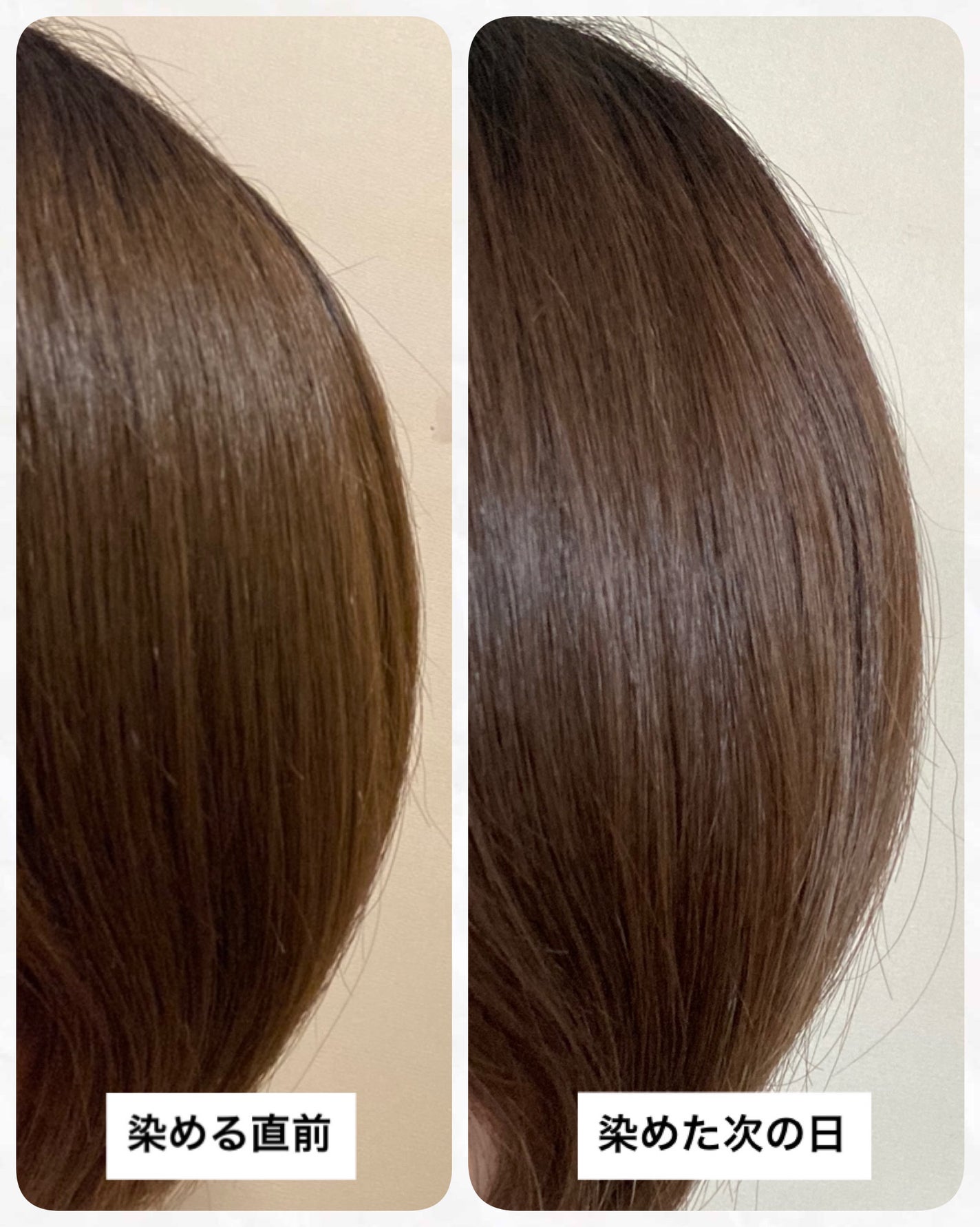 エブリカラーフォームシャンプー/アンナドンナ/市販シャンプーを使ったクチコミ(2枚目)