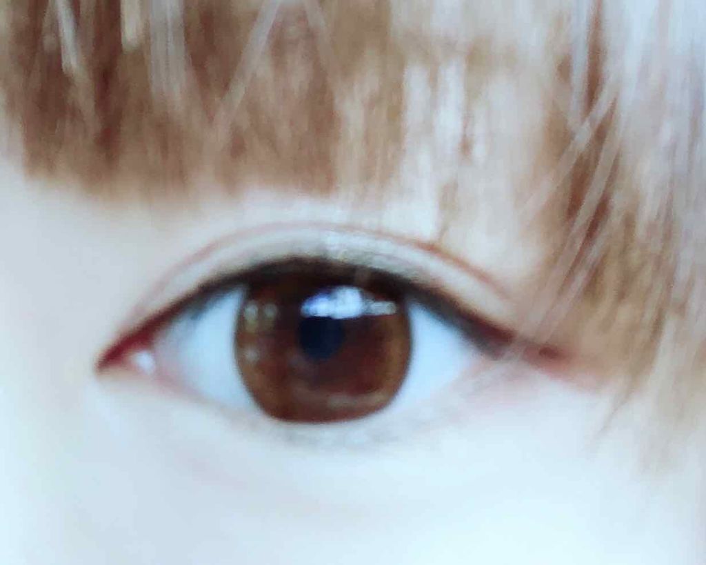 フラワーアイズ ワンデー クロッシェ/株式会社ビューフロンティア/ワンデー(1DAY)カラコンを使ったクチコミ(1枚目)