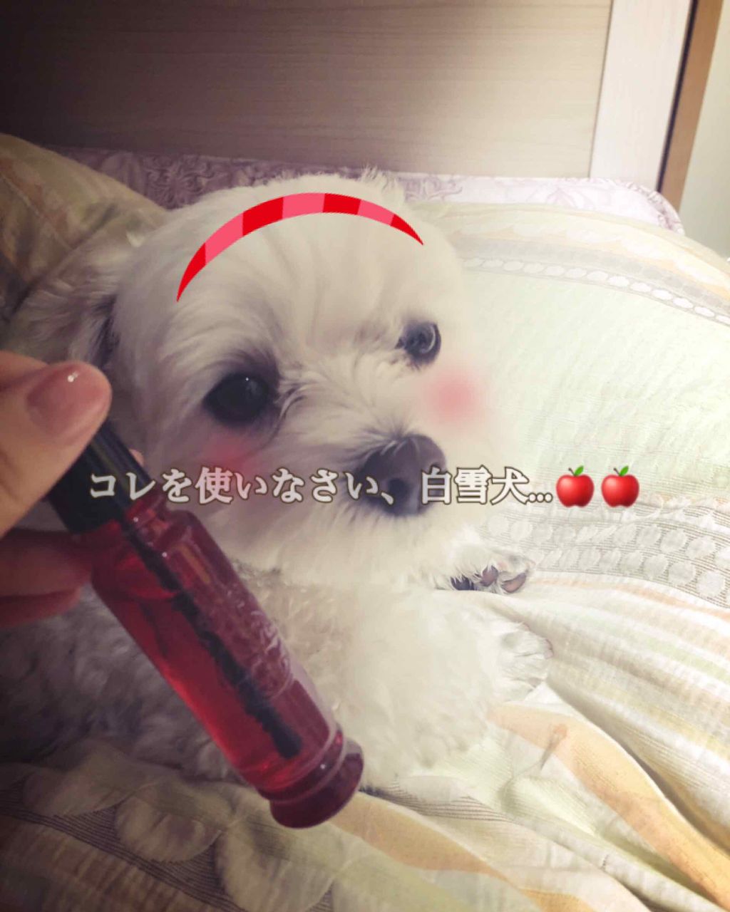 マジョロマンティカ/マジョリカ マジョルカ/香水(レディース)を使ったクチコミ（1枚目）