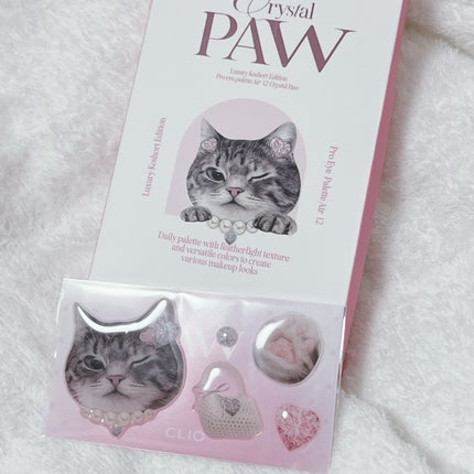 プロ アイ パレット エアー/CLIO/アイシャドウパレットを使ったクチコミ(5枚目)