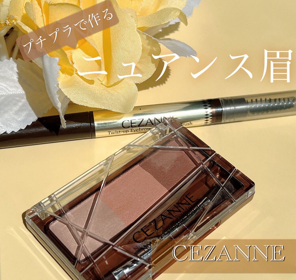 ノーズ&アイブロウパウダー/CEZANNE/パウダーアイブロウを使ったクチコミ(1枚目)