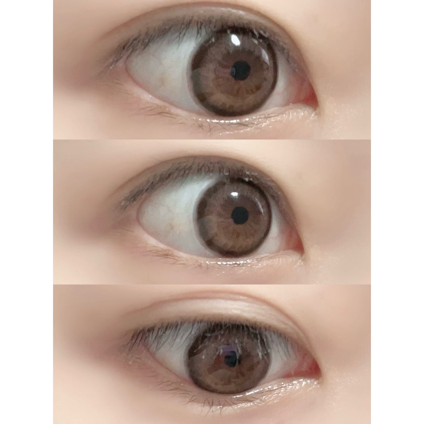 エバーカラーワンデー ナチュラル/エバーカラー/ワンデー(1DAY)カラコンを使ったクチコミ(2枚目)