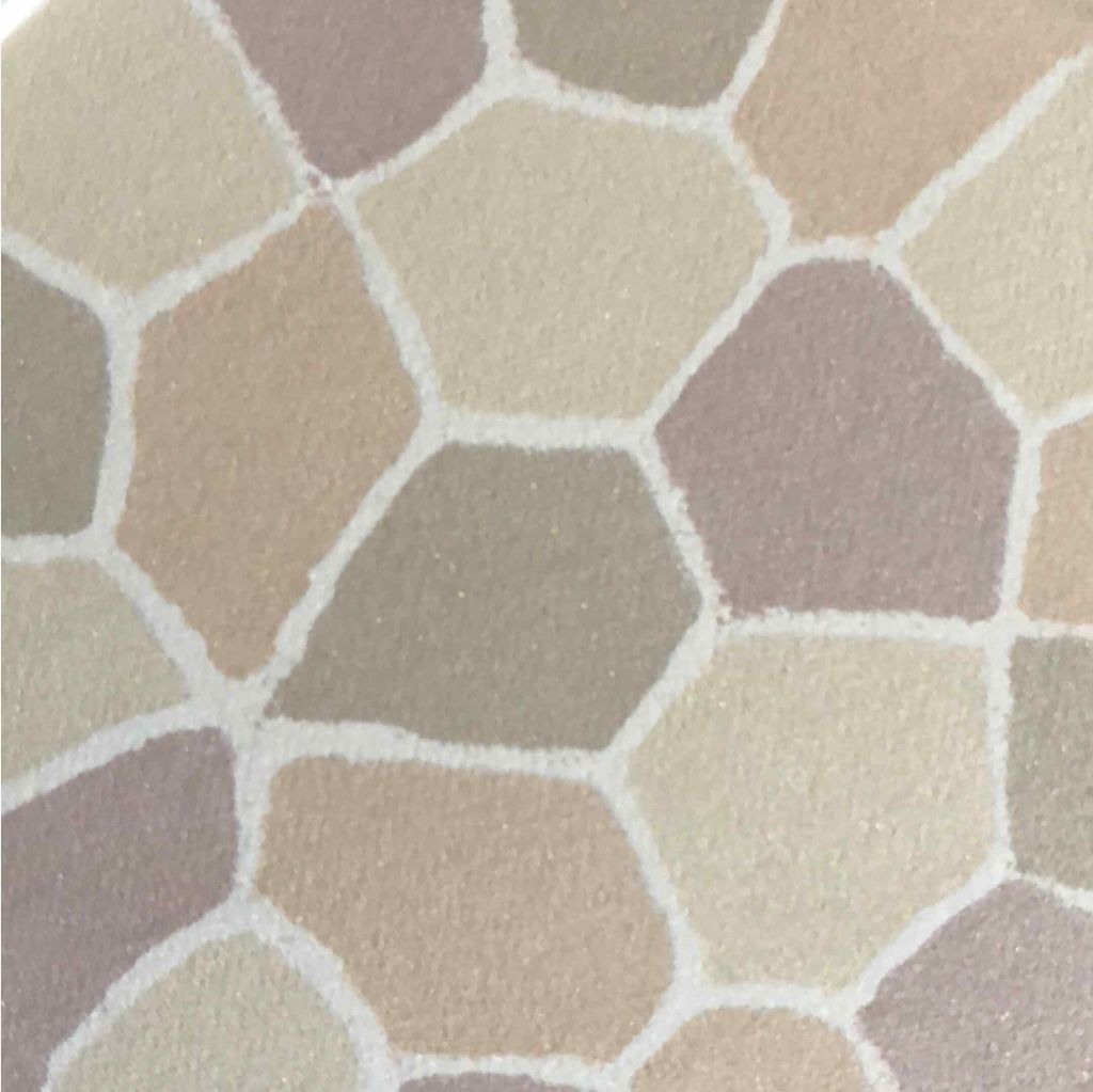 エレガンス ラ プードル オートニュアンス リクスィーズ/Elégance/プレストパウダーを使ったクチコミ(2枚目)