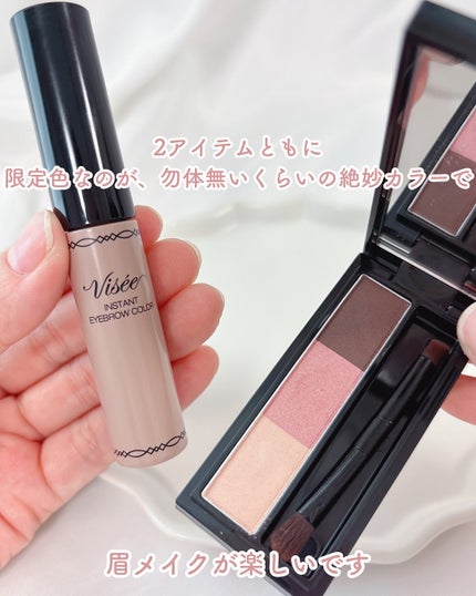 ヴィセ リシェ アイブロウパウダー/Visée/パウダーアイブロウを使ったクチコミ(5枚目)