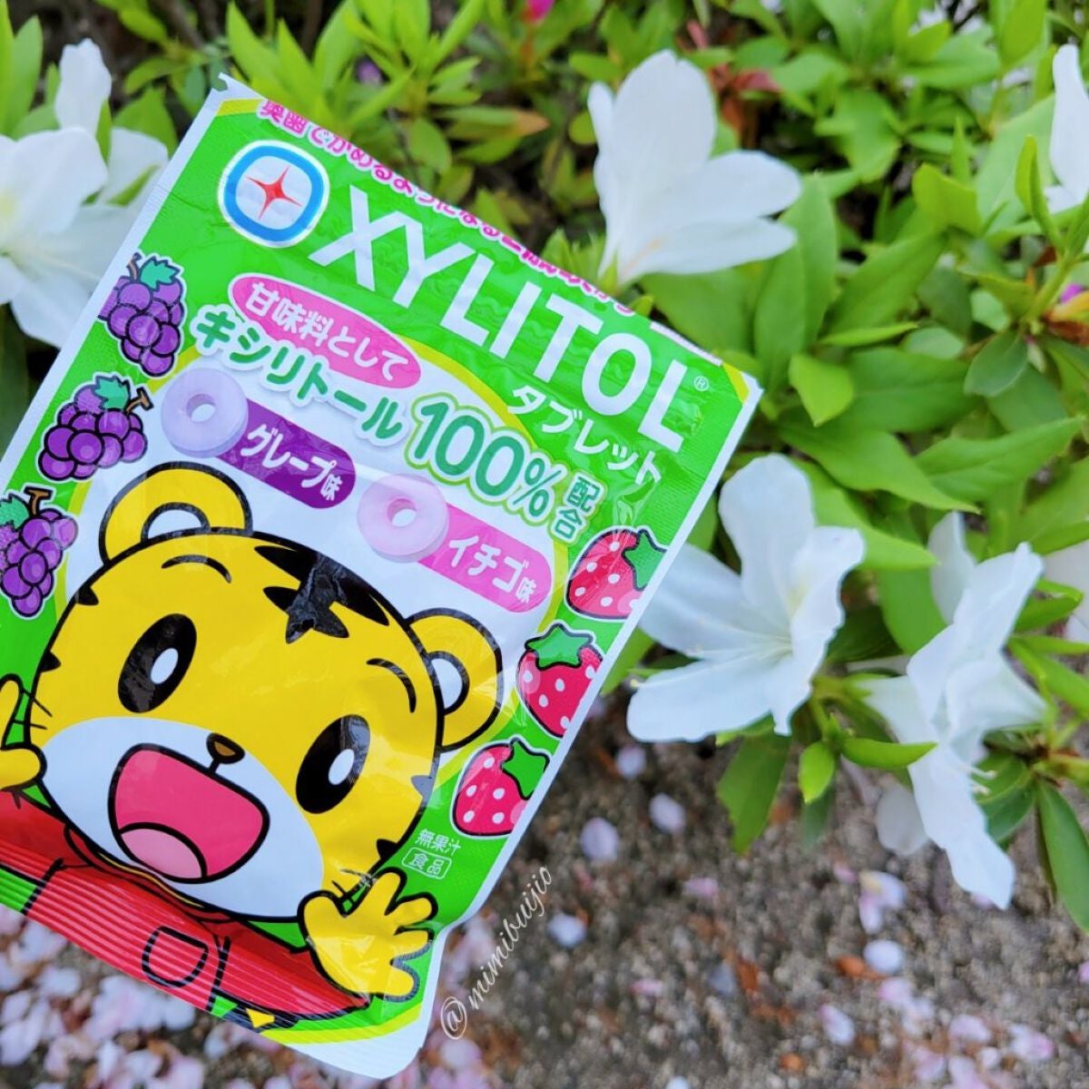 yuki on LIPS 「歯みがき。·͜·。/仕上げみがきお助けアイテム!!みんなは知っ..」(1枚目)