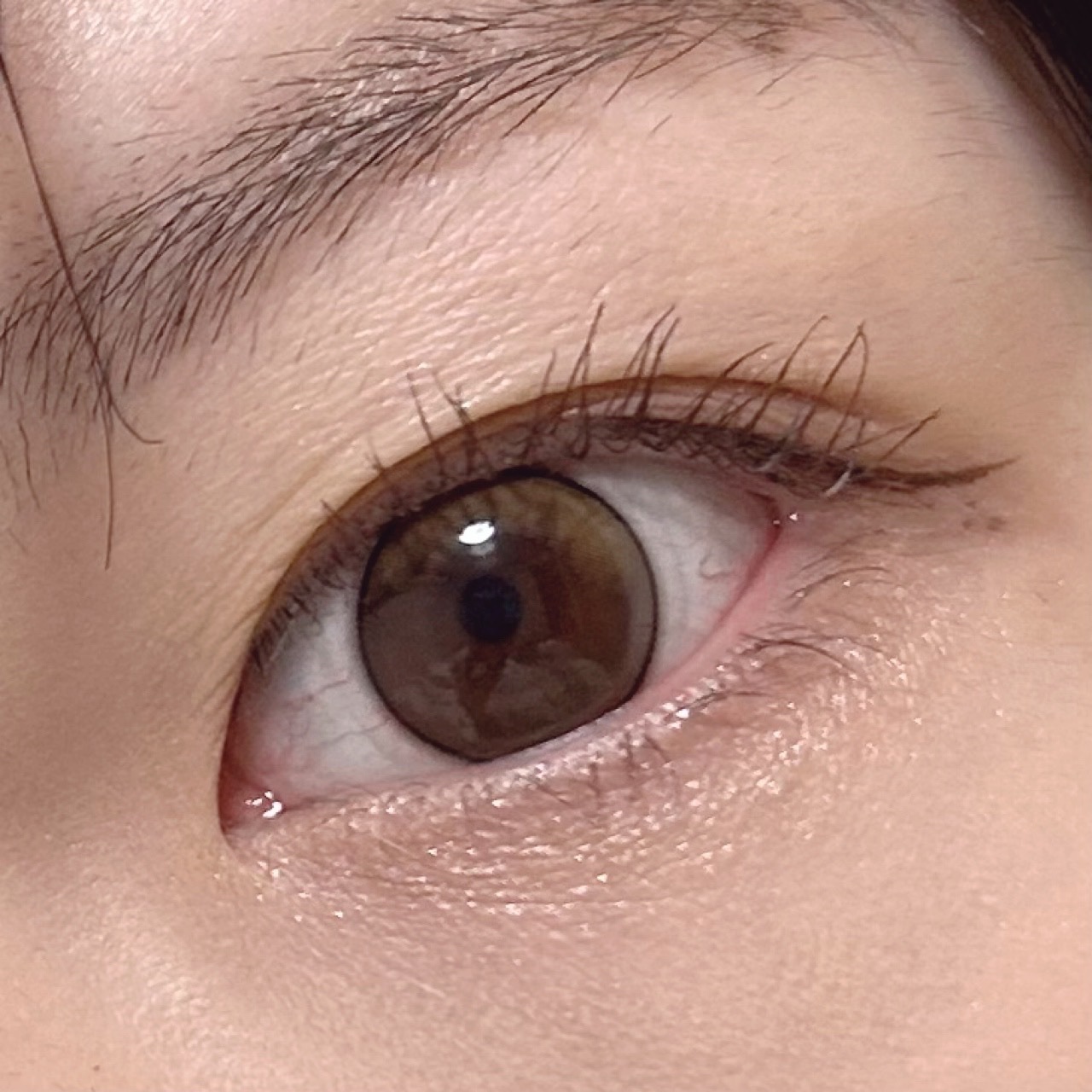 ベアブラッシャー パフ付き/フォレンコス/パウダーチークを使ったクチコミ（2枚目）