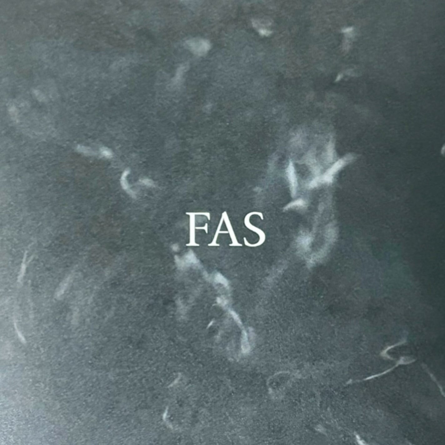 ザ ブラック エッセンス/FAS/化粧水を使ったクチコミ(4枚目)