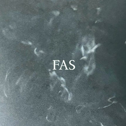 ザ ブラック エッセンス/FAS/化粧水を使ったクチコミ(4枚目)