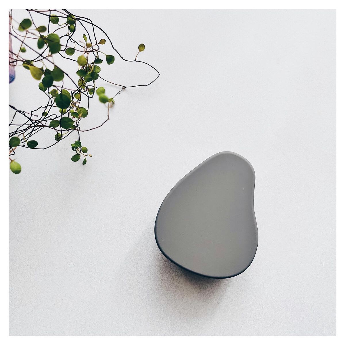 スカルプブラシ/GROW LAB/スカルプブラシを使ったクチコミ（2枚目）