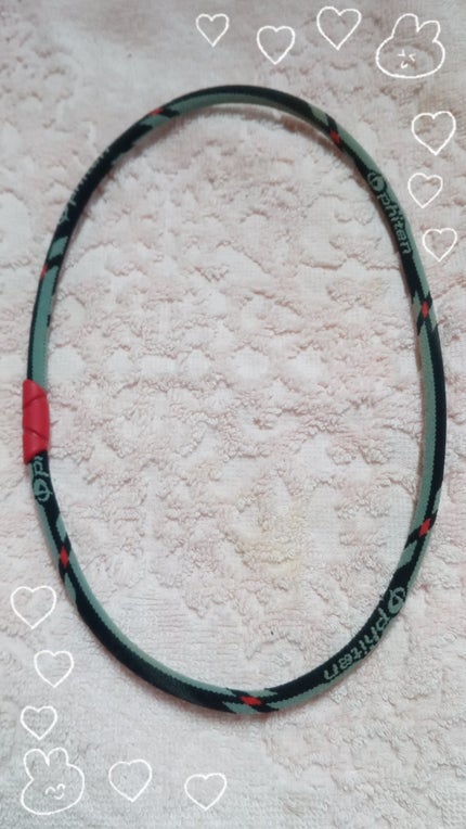 RAKUWAネック ゼネラルモデル/ファイテン/その他を使ったクチコミ(1枚目)