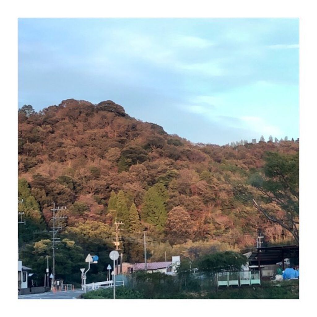 ネイルホリック/ネイルホリック/マニキュアを使ったクチコミ(4枚目)