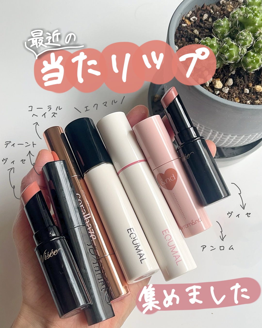 Bronte Melting Lip Butter/Dinto/口紅を使ったクチコミ（1枚目）