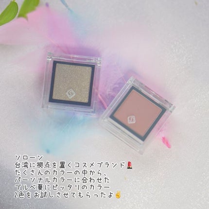 eyeshadow/SLN/単色アイシャドウを使ったクチコミ(2枚目)