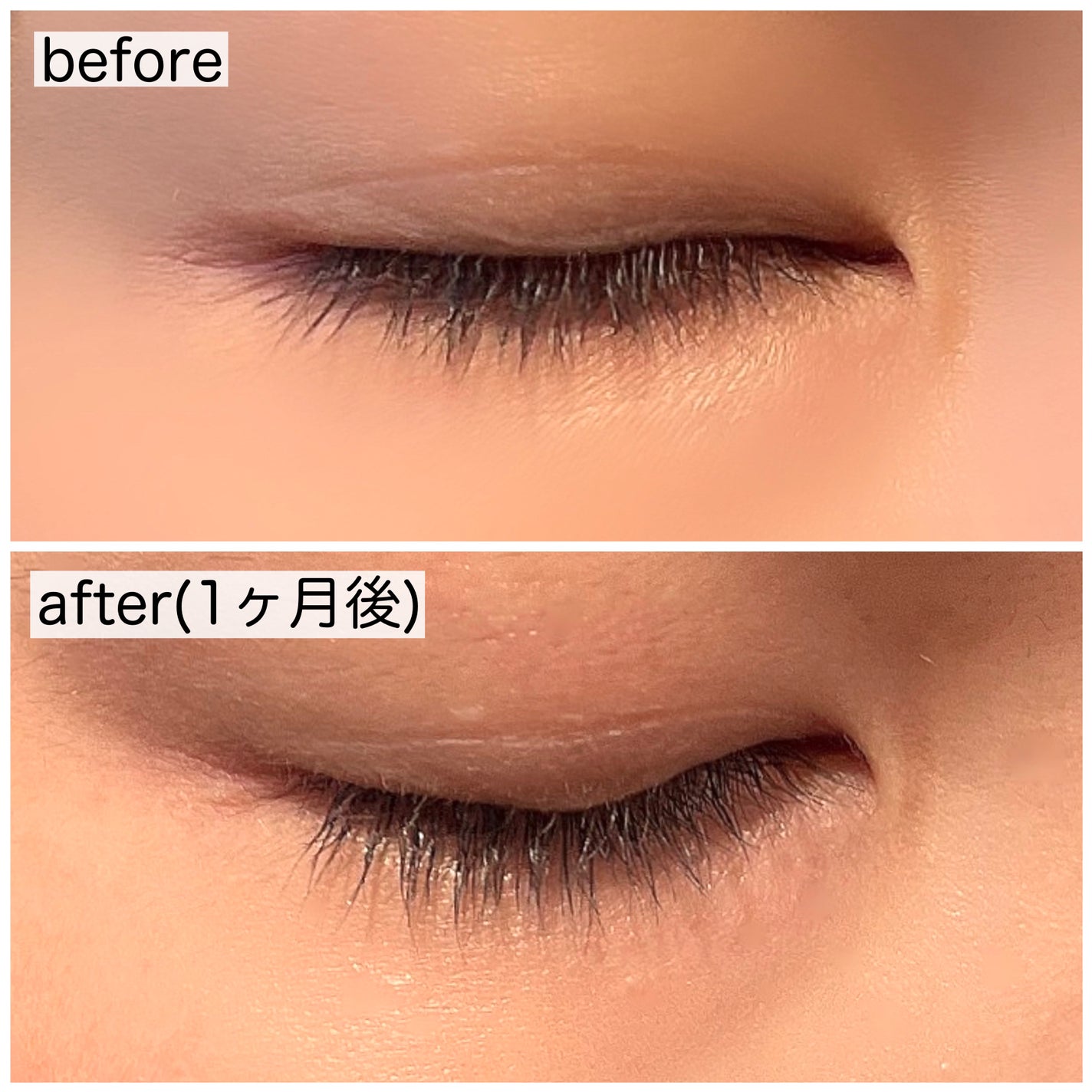 EMAKED(エマーキット)/水橋保寿堂製薬/まつげ美容液を使ったクチコミ(4枚目)