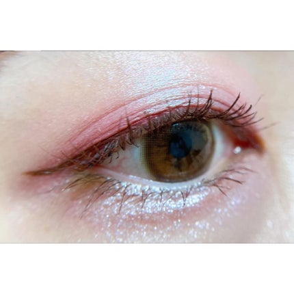 エクスプローラ12色 動物アイシャドウパレット/PERFECT DIARY/アイシャドウパレットを使ったクチコミ(5枚目)